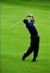 Paul Frediani's Golf Flex
